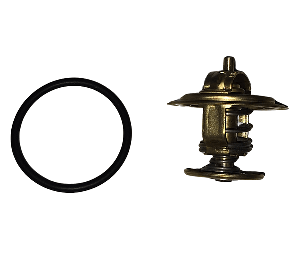 Válvula Termostatica Ford Volkswagen Motor AP WA4256.87
