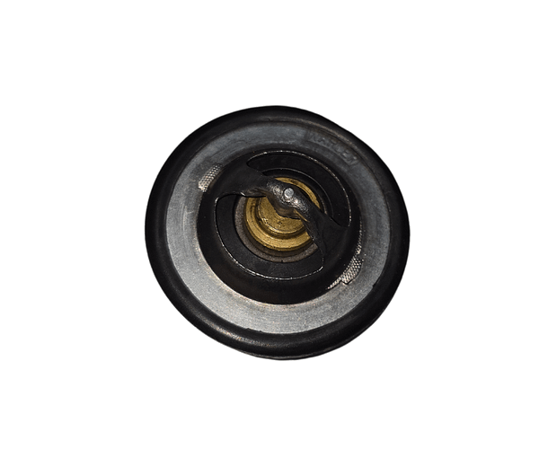 Válvula Termostática Renault Clio Duster Fluence Kangoo Logan Megane Sandero Scenic WA3180.89