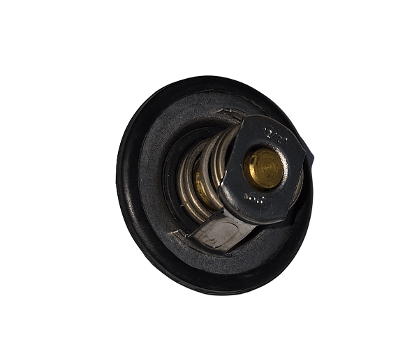 Válvula Termostática Renault Clio Duster Fluence Kangoo Logan Megane Sandero Scenic WA3180.89